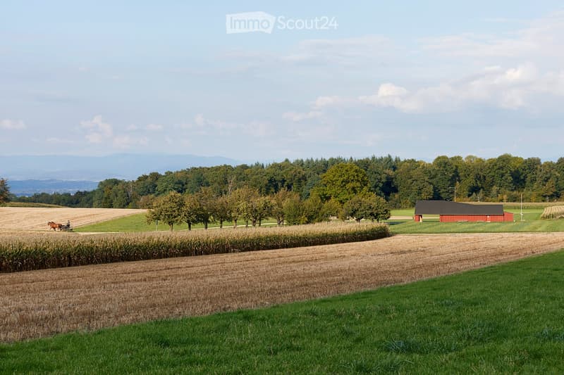 A rural landscape with fields, a red barn, trees, and a horse-drawn cart in the distance.