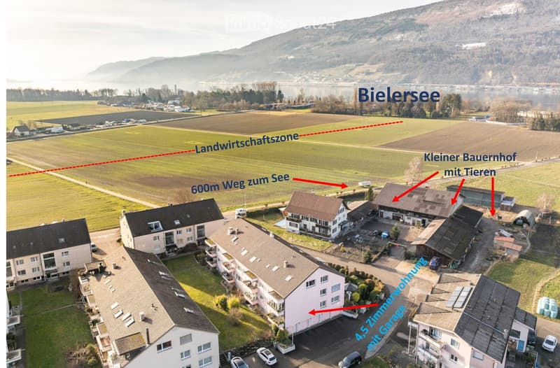Aerial view of a residential area with multiple houses, a farm, and surrounding fields near Bielersee. Includes a 4.5-room apartment with garage, a small farmhouse with animals, and a 600m path to the lake.