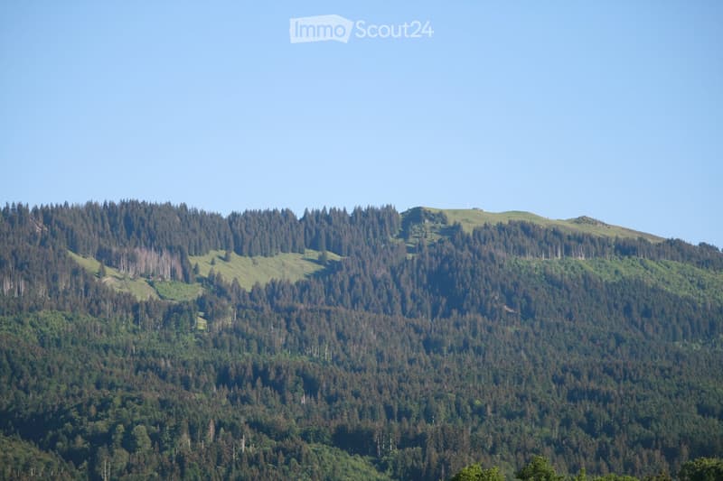A panoramic view of a forested mountain range under a clear blue sky, with dense green trees covering the slopes.