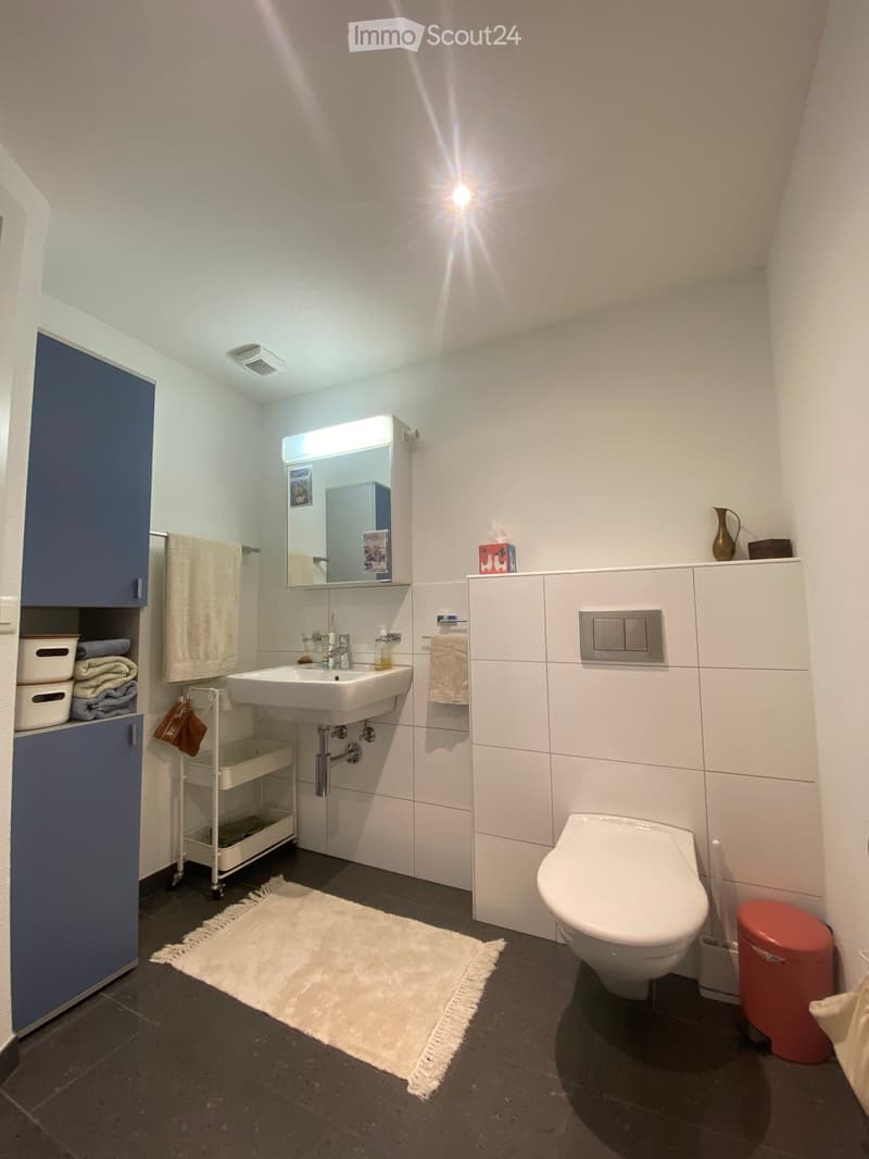 Modern bathroom with white tiles, a sink, toilet, mirror, and built-in cabinets. Features a small rug, towels, and a decorative vase on the cabinet.