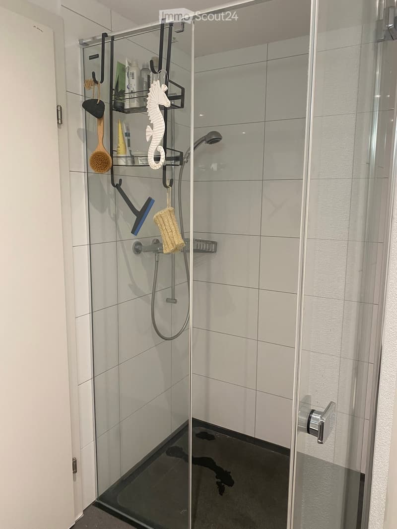 Modern shower area with glass enclosure, tiled walls, and a shower rack holding various toiletries and cleaning tools.