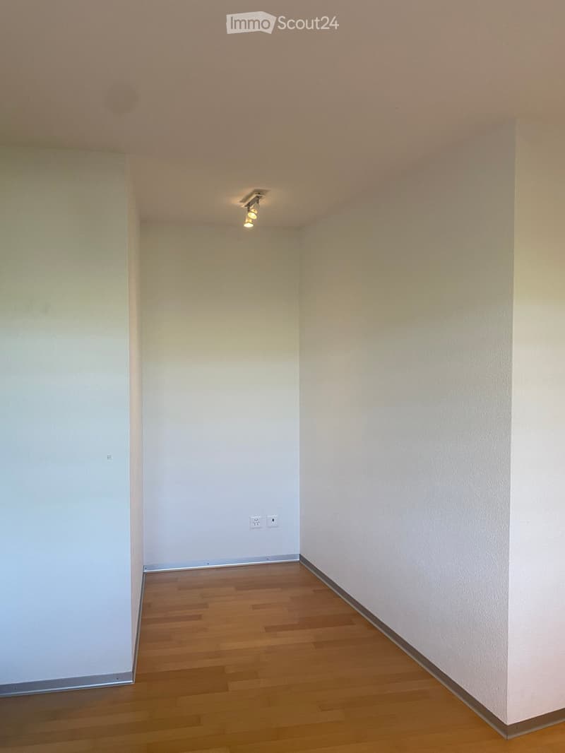 Empty room with light-colored walls and wooden flooring, featuring a ceiling light fixture and electrical outlets.