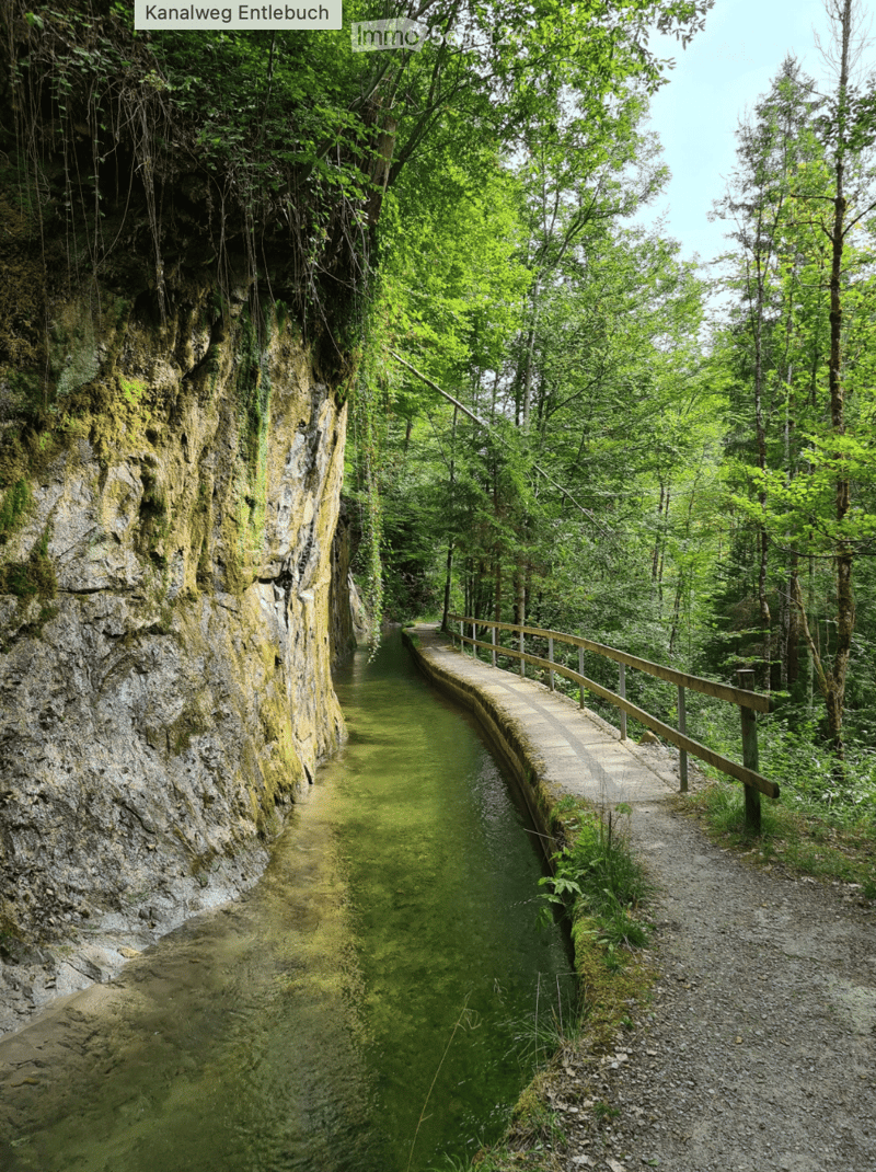 A narrow canal with green water flows between rocky cliffs, bordered by a wooden walkway and lush greenery.