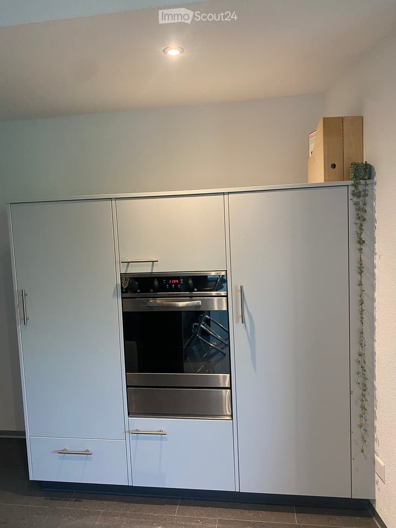 Modern kitchen with light grey cabinets, stainless steel oven, and a small potted plant on top of the cabinets.
