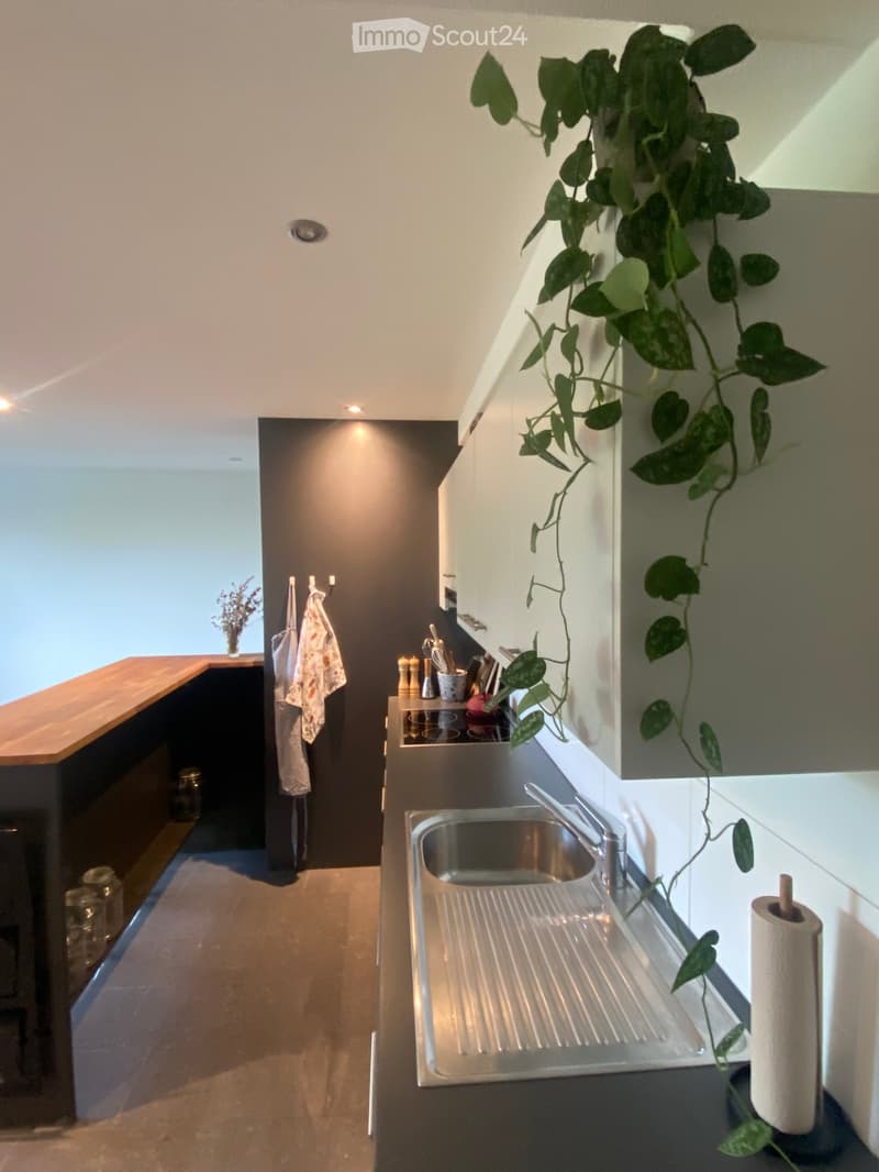 Modern kitchen with stainless steel sink, dark countertops, white cabinets, and a hanging plant. Includes various kitchen utensils and a paper towel holder.