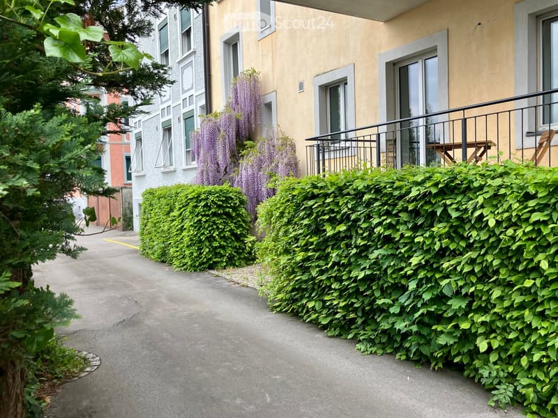 A narrow pathway bordered by neatly trimmed green hedges and a tree with purple flowers, leading to a building with a balcony and windows.