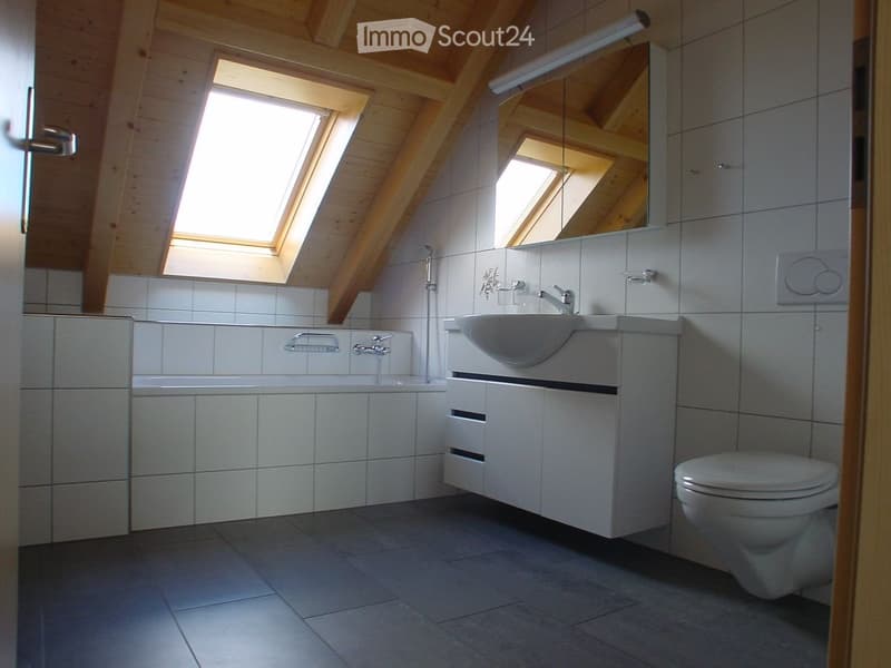 Modern bathroom with a bathtub, sink, toilet, and mirror. Features skylight windows and wooden beams on the ceiling.