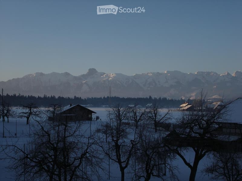 A serene winter landscape with snow-covered ground, sparse trees, and distant snow-capped mountains under a clear sky.