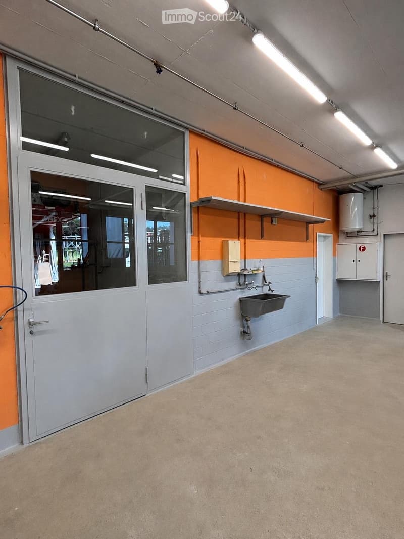 Empty room with grey and orange walls, a sink, shelves, and a door with a large window. The floor is carpeted, and the ceiling has exposed lighting fixtures.