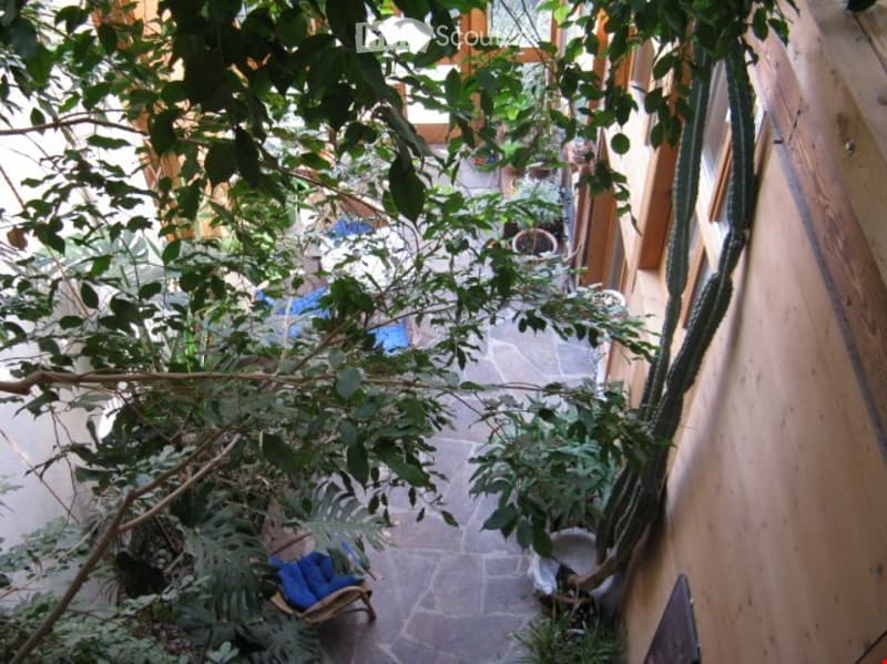 A serene garden area with a stone-paved pathway, lush greenery, and a small seating area with a blue cushioned chair and a wooden bench.