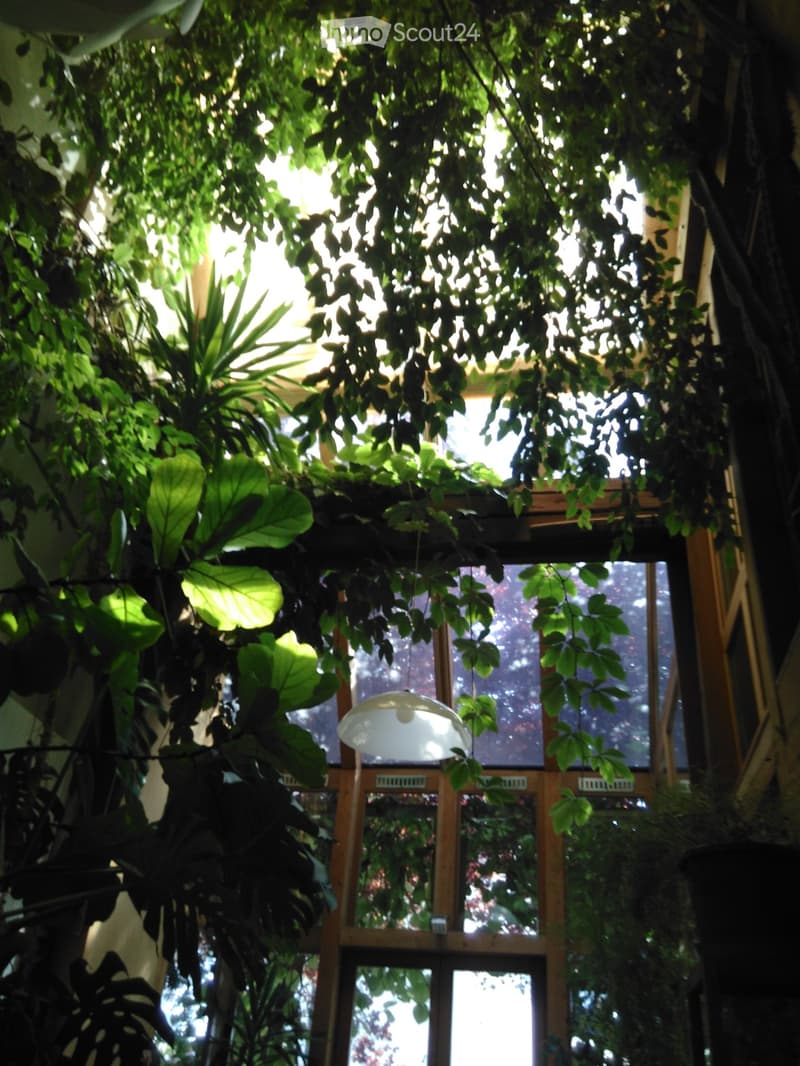 A lush indoor garden area with large windows, hanging plants, and a modern pendant light fixture.