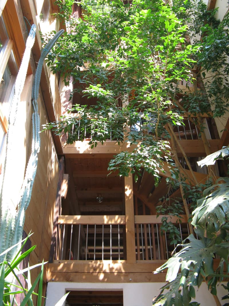 A wooden balcony with metal railings, surrounded by lush green plants and trees, providing a serene outdoor space.