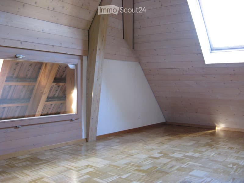 Empty attic room with wooden walls, slanted ceiling, and wooden floor. Features a skylight window and a built-in closet with mirrored doors.