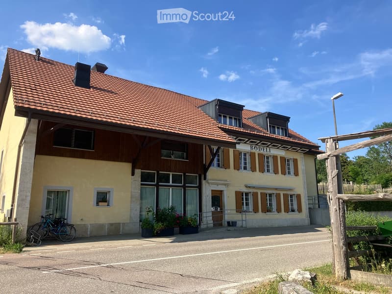 Wohnung in Seewen SO (1)
