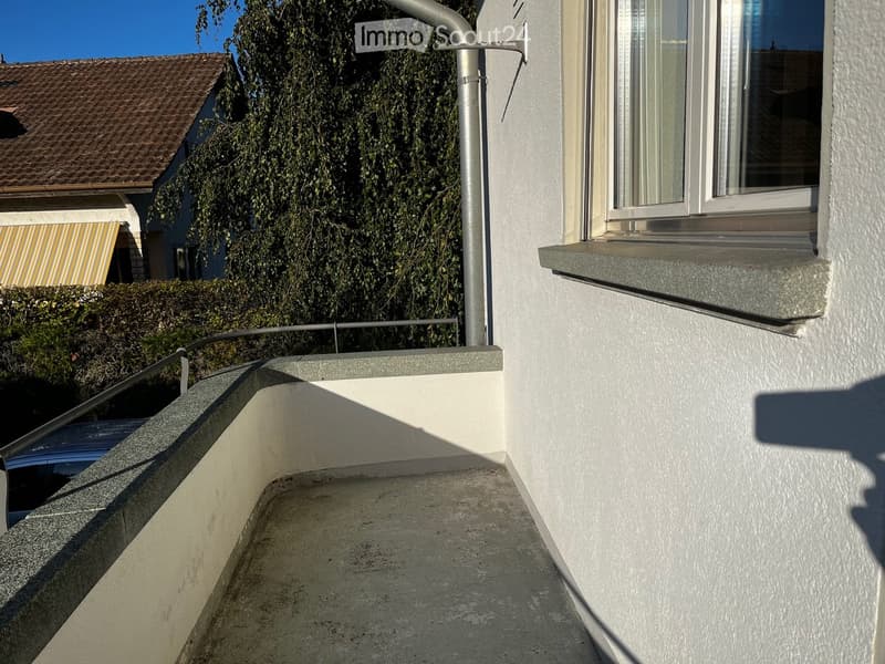 Balcony with concrete floor, metal railing, and a window with a grey sill. The background shows a neighboring house with a striped awning and a tree.