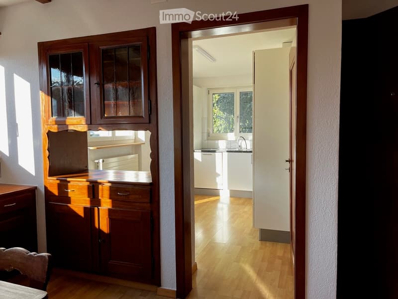 A well-lit hallway with wooden flooring, leading to a kitchen area with white cabinets and a sink, and a wooden cabinet with glass doors on the left side.