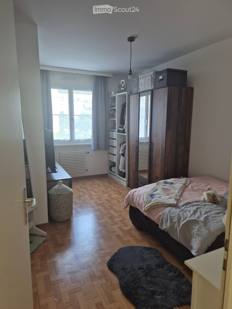 Well-lit bedroom with wooden herringbone flooring, a double bed with pink bedding, a large wardrobe with mirrored doors, a shelf unit, a small table with a TV, a woven stool, and a plush rug.