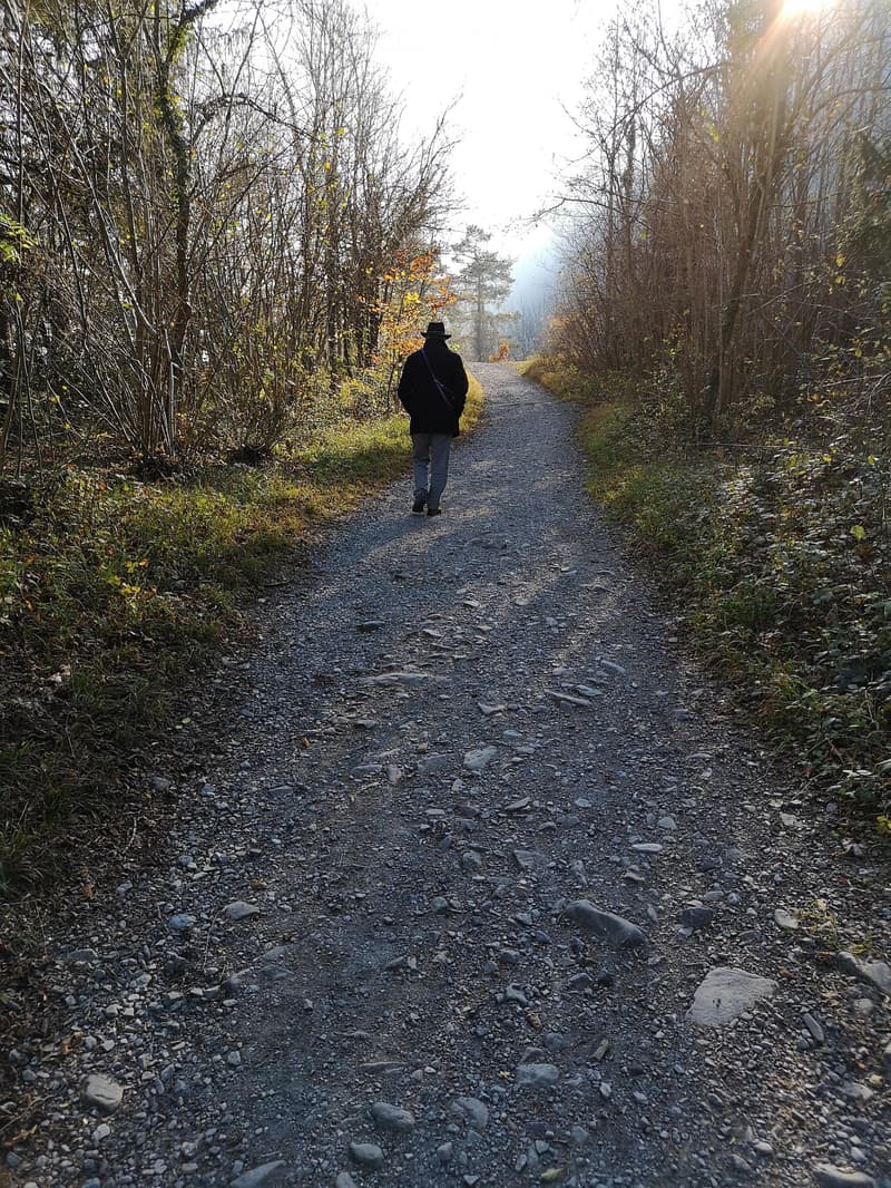 A gravel path surrounded by dense, leafless shrubs and trees, with a person walking away from the camera.