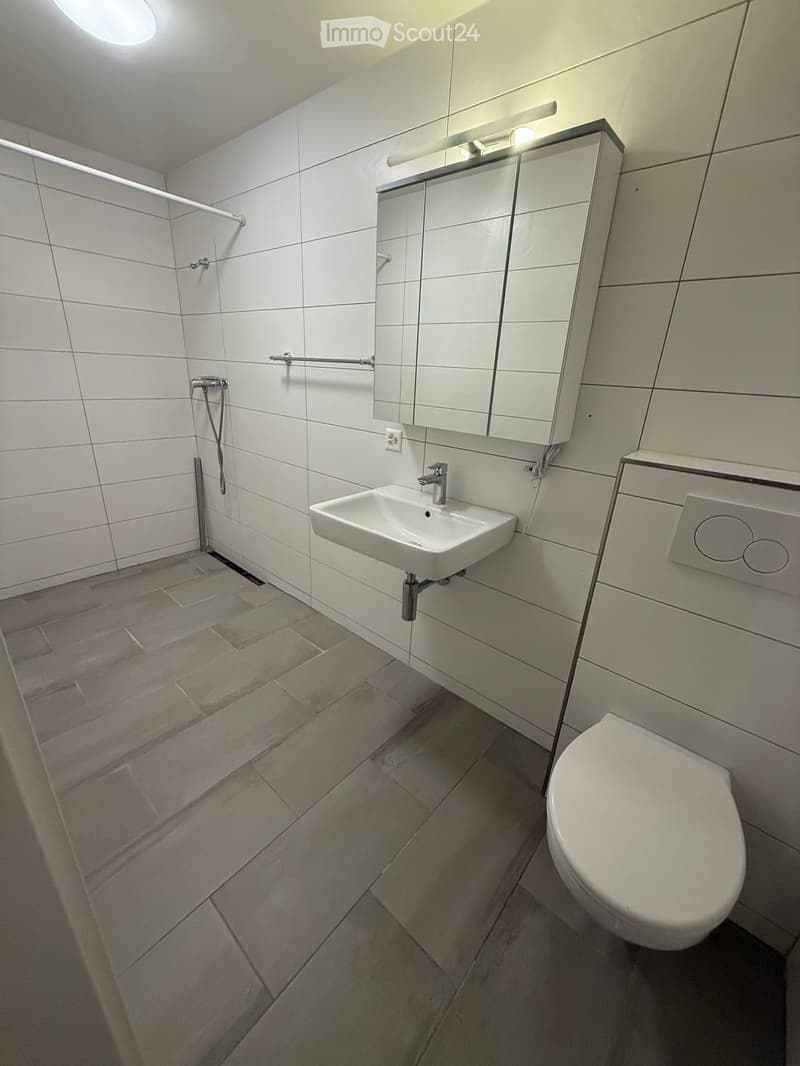 Modern bathroom with white tiles, a sink, toilet, mirror, and built-in cabinetry.