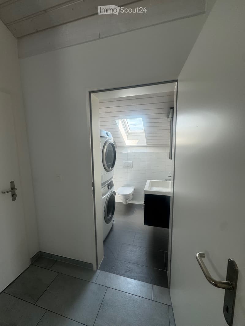 Bathroom with a washing machine, toilet, and sink, visible through an open door with a skylight above.