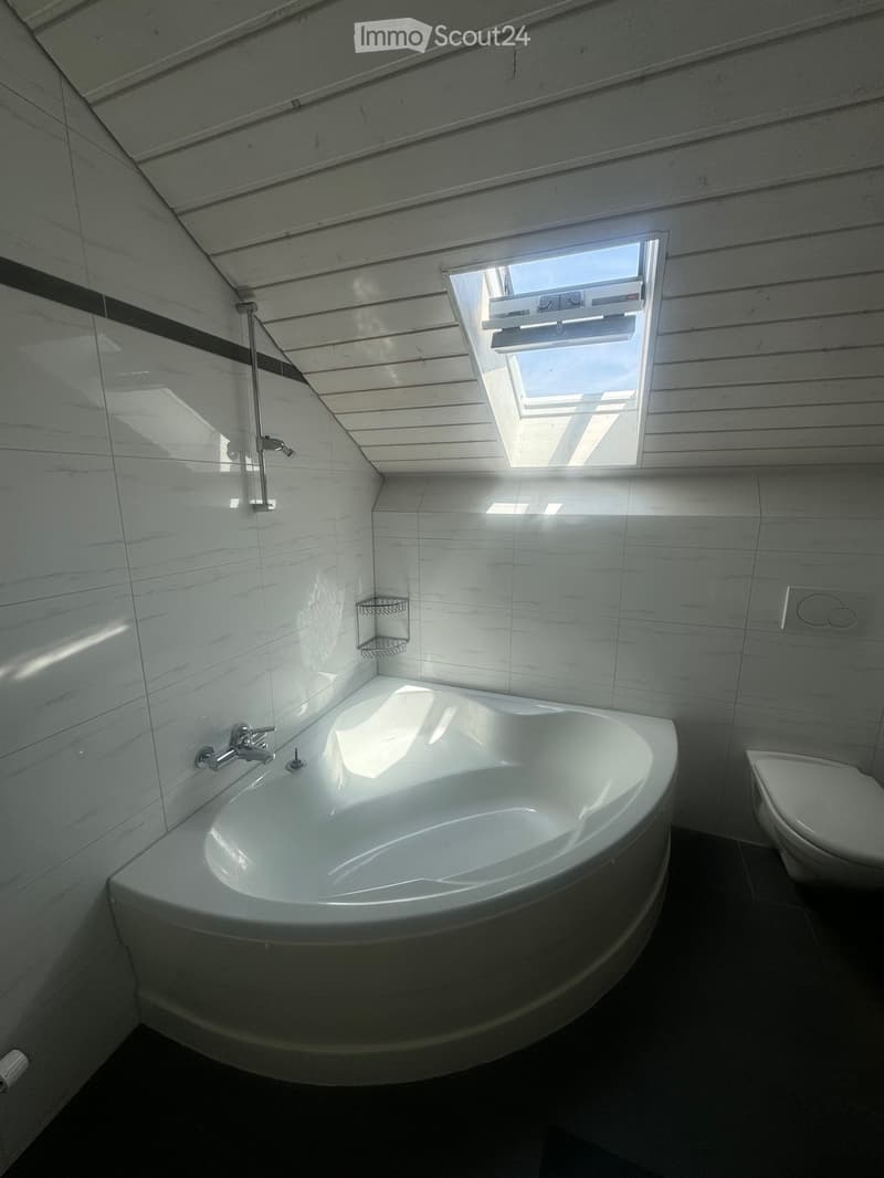 Modern bathroom with a large, curved bathtub, a toilet, a showerhead, and a small shower rack. The room features white marble tiles and a skylight window providing natural light.