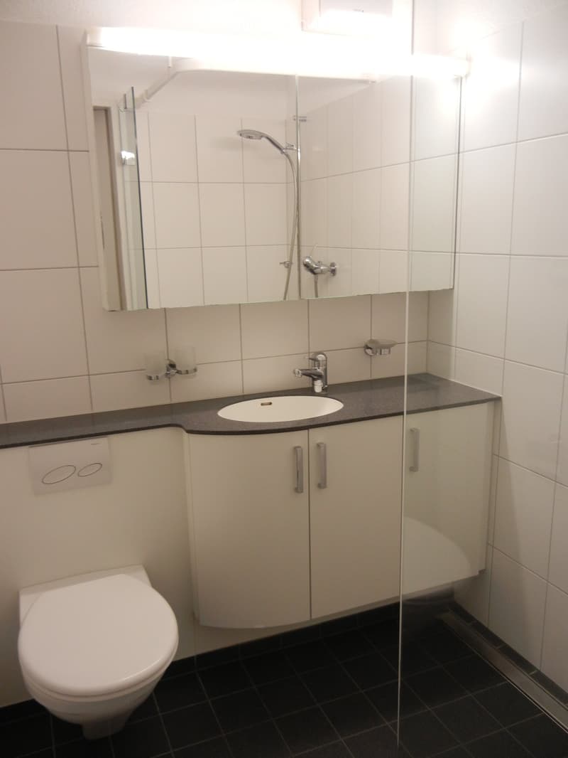 Modern bathroom with white tiles, a toilet, a sink with a mirror, and a glass-enclosed shower area.