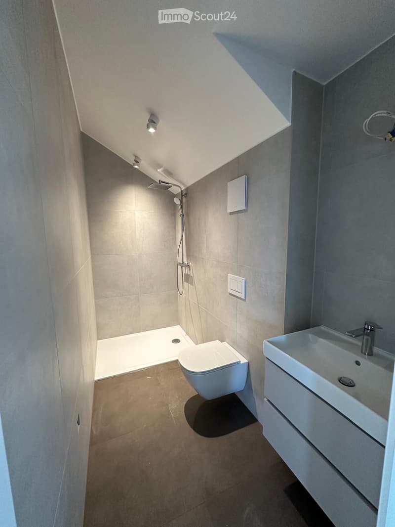 Modern bathroom with a toilet, sink, and shower area. Features include a sleek, white sink with a modern faucet, a toilet, and a shower with a handheld sprayer. The walls are tiled in a light gray color, and the floor is covered with beige tiles.