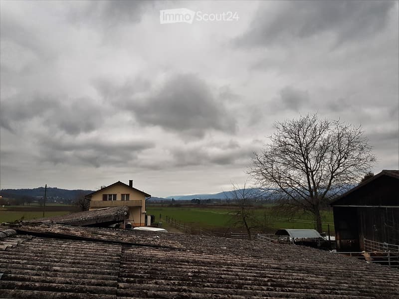 House with chimney, surrounded by trees and farmland, cloudy sky, distant mountains