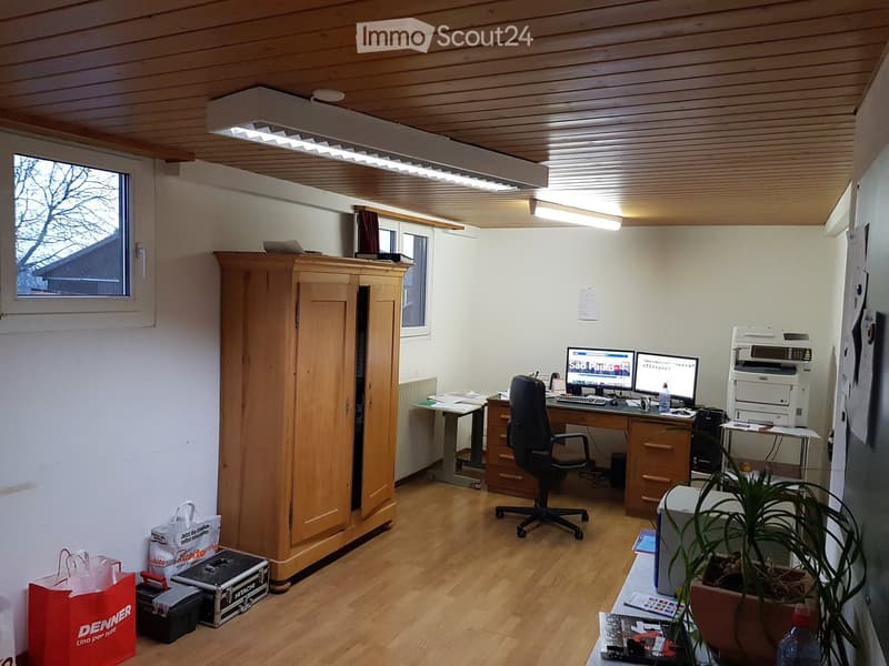 Wooden floor, wooden cabinet, two computer monitors, chair, wooden desk, radiator, white ceiling light, printer, storage bags, potted plant