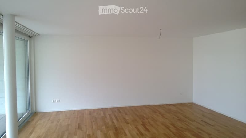 Empty room with light-colored walls and wooden flooring, featuring a large window with a view.
