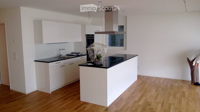 Modern kitchen with white cabinets, black countertop, stainless steel sink, oven, and range hood. Wooden flooring and a decorative plant on the island.