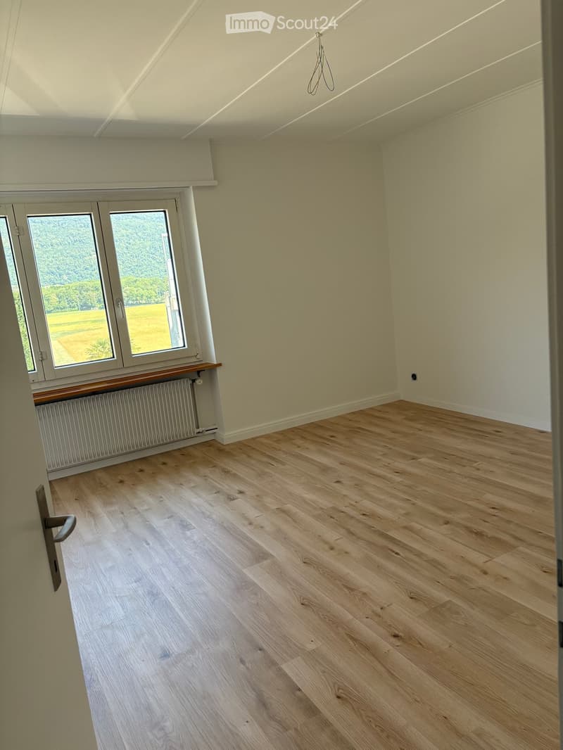 Empty room with light wooden flooring, white walls, large windows, and a radiator under the windows.