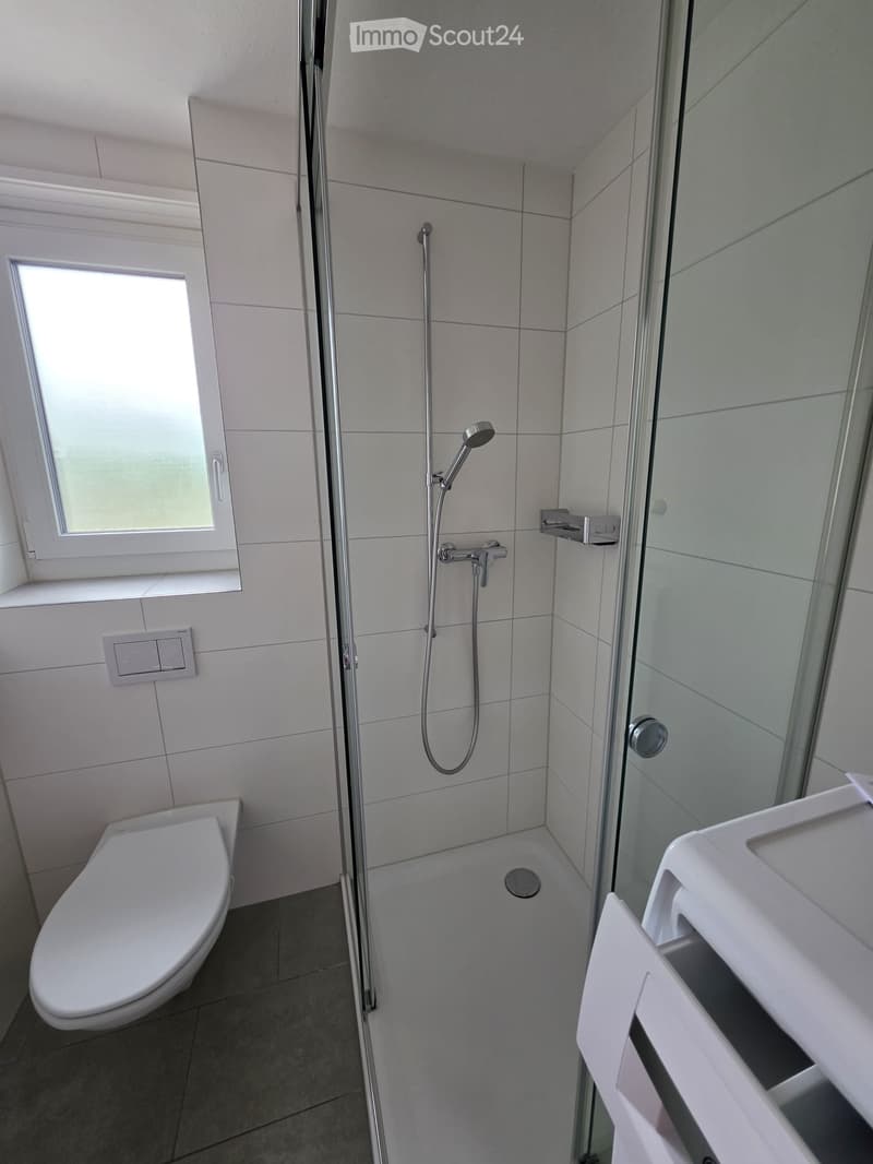 Modern bathroom with white tiles, a toilet, a shower with glass enclosure, and a sink with a cabinet.