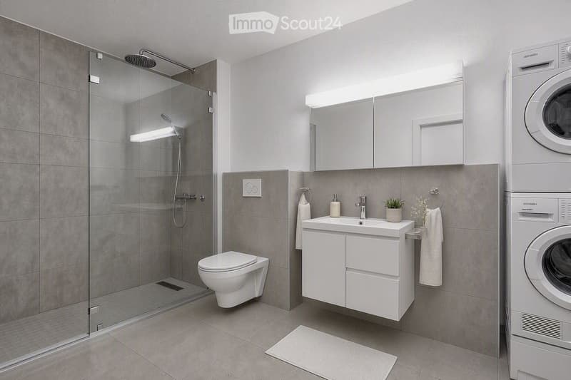 Modern bathroom with a glass-enclosed shower, toilet, sink with cabinet, mirror, and a private washing machine. Features include a towel, small plant, and a white bath mat on the floor.