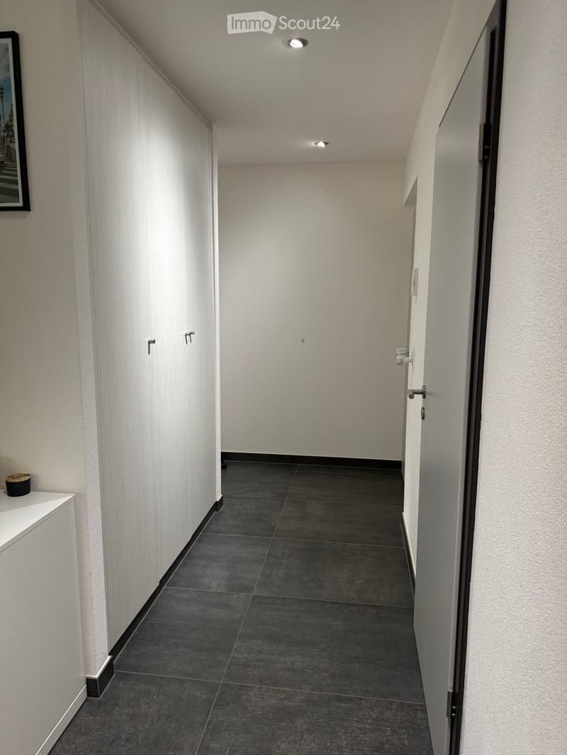 Clean, modern hallway with dark tiled flooring, white walls, and built-in storage cabinets on one side. Features recessed ceiling lighting and a small decorative item on a white shelf.