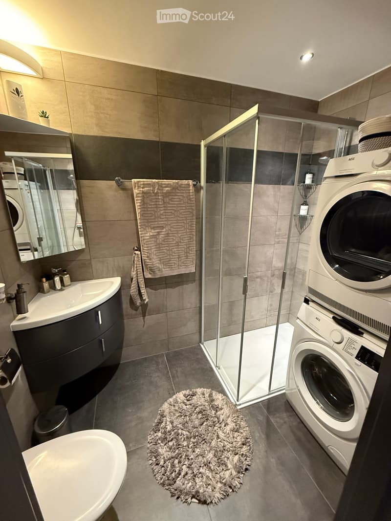 Modern bathroom with a sink, mirror, toilet, bathtub, shower, washing machine, dryer, and a fluffy rug.