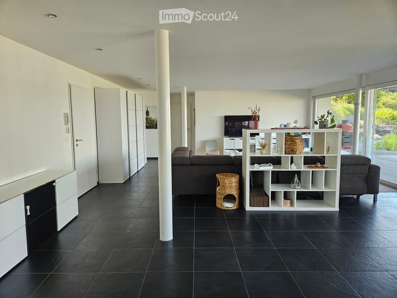 Modern living room with black tiled flooring, white walls, and large windows. Features a grey sectional sofa, a white shelving unit with decorative items, a wicker basket, a cat bed, and a television on a stand.