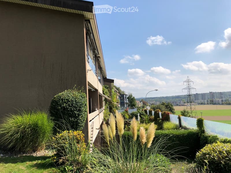 Well-maintained garden with various plants, shrubs, and a small balcony area attached to a building. The background shows a clear sky, distant cityscape, and open fields.