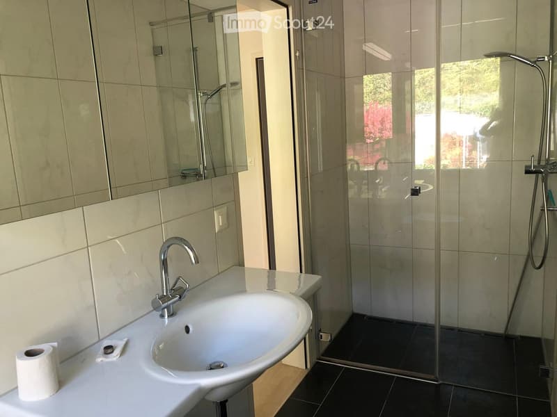 Modern bathroom with a white sink, chrome faucet, toilet paper, and a glass-enclosed shower with a handheld showerhead.