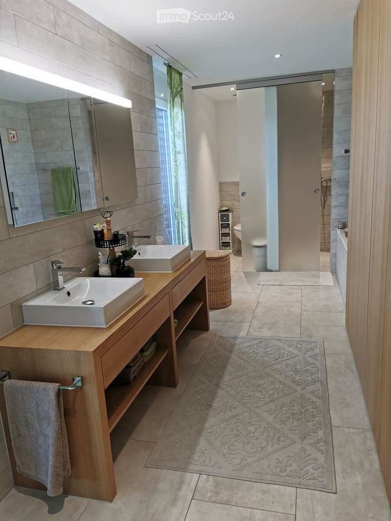 Modern bathroom with double sink vanity, large mirror, shower area, and a small plant on the counter.