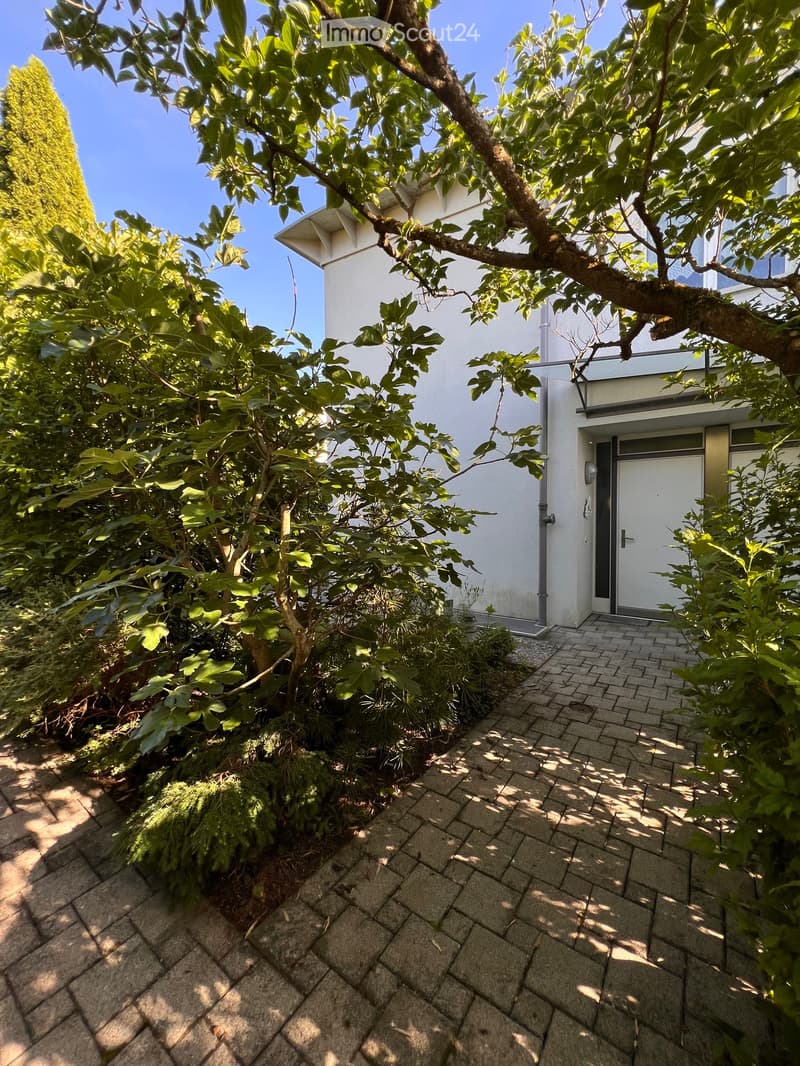 A garden path leads to a modern white house entrance, surrounded by lush greenery and trees.