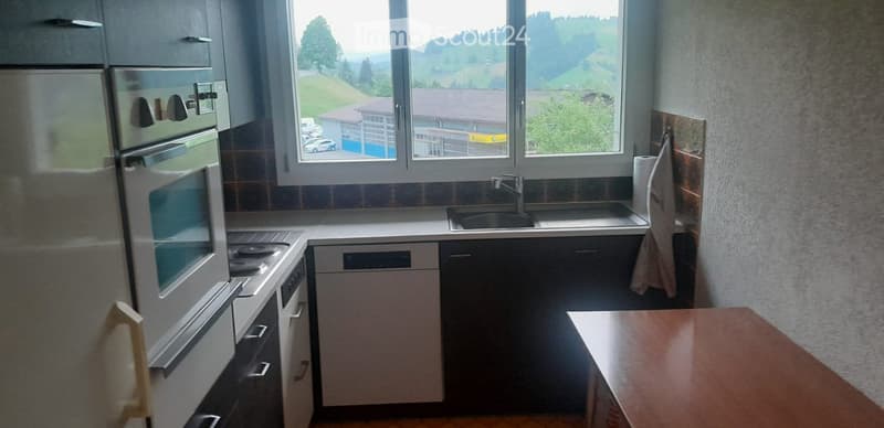 Modern kitchen with white cabinets, stainless steel appliances, a sink, and a view of the countryside through large windows.