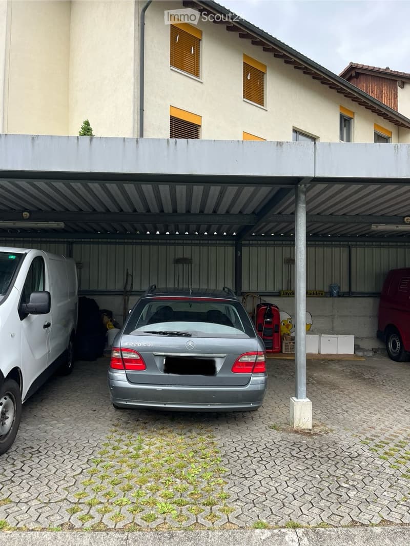 A covered garage area with a gray car, white van, and red van parked inside. The garage has a metal roof and concrete floor, with a small garden visible in the foreground.