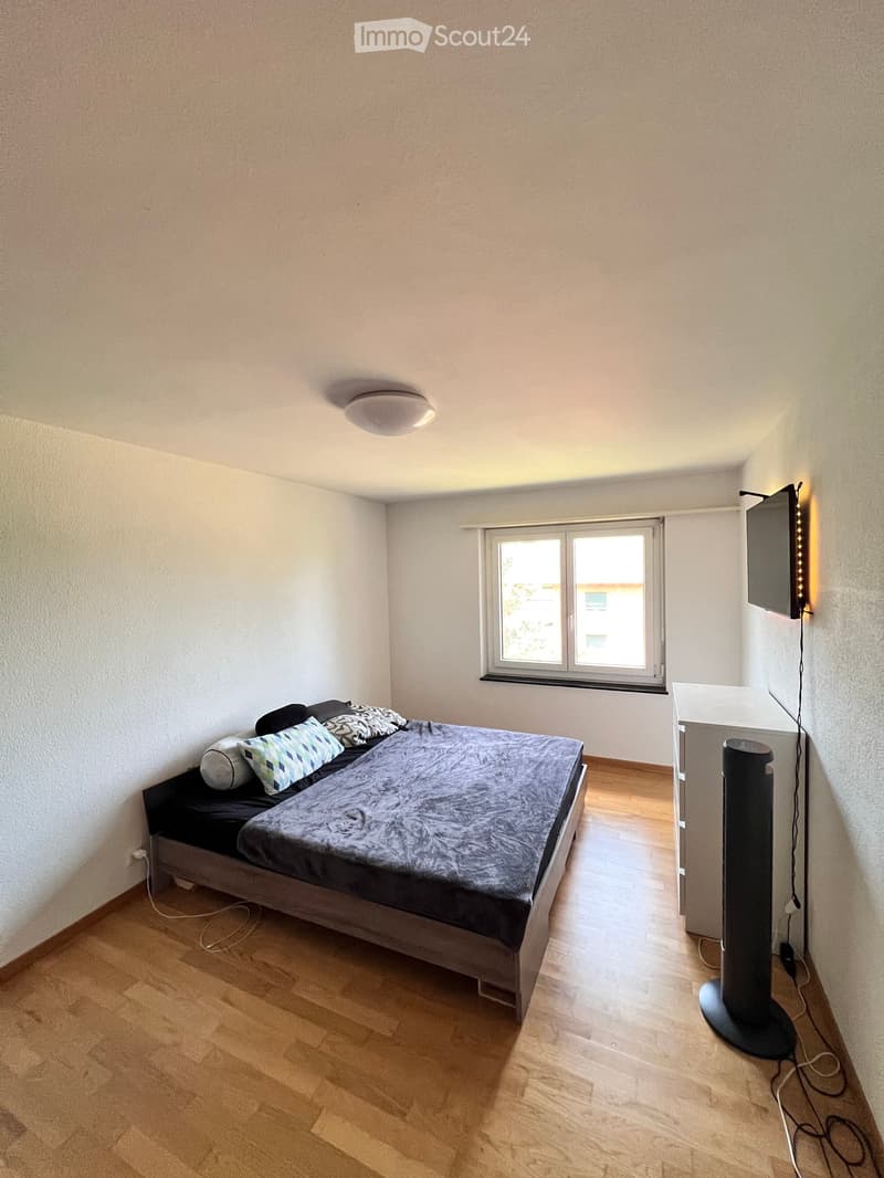 Bedroom with a single bed, pillows, a nightstand, a fan, and a TV mounted on the wall. The room has wooden flooring and a window with a view.