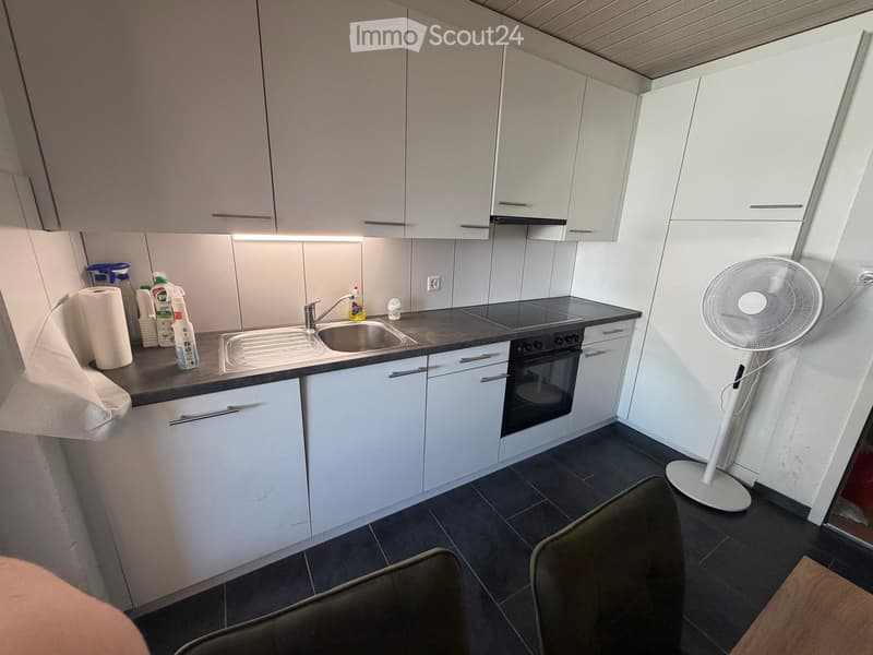 Modern kitchen with white cabinets, stainless steel sink, oven, and a fan. Countertop has cleaning supplies and paper towels.