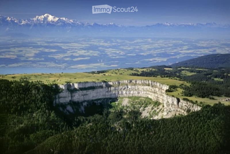 A panoramic view of a lush green valley surrounded by dense forests, with a prominent cliff face and distant snow-capped mountains under a clear blue sky.