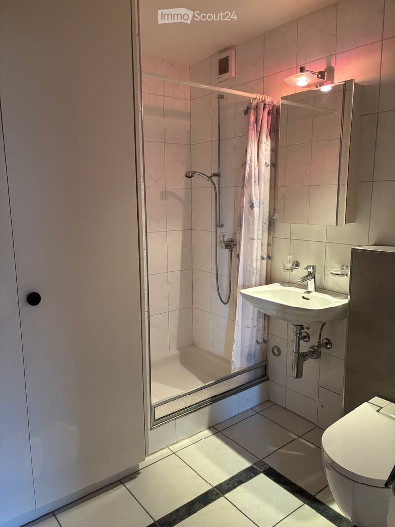 Modern bathroom with a glass-enclosed shower, white tiled walls, a sink with a modern faucet, a toilet, and a mirror above the sink.