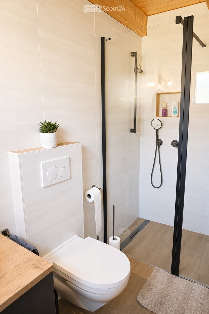 Modern bathroom with a toilet, glass-enclosed shower, and a small shelf holding toiletries and a potted plant. The shower features a handheld sprayer and a fixed head, with a sleek black frame. The floor is wooden, and a small white rug is placed in front