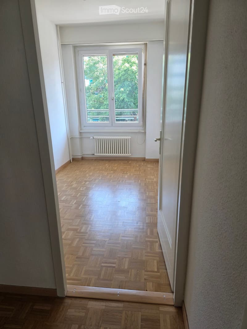 Empty room with wooden herringbone flooring, white walls, and a large window with a view of greenery. A radiator is visible below the window.