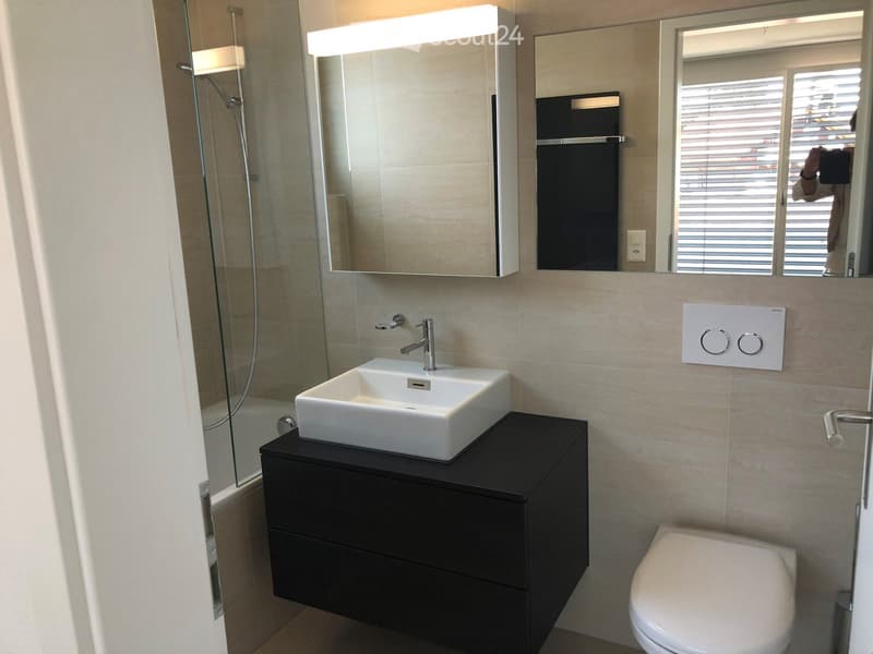 White sink, black cabinet, white toilet, walk-in shower, mirrors